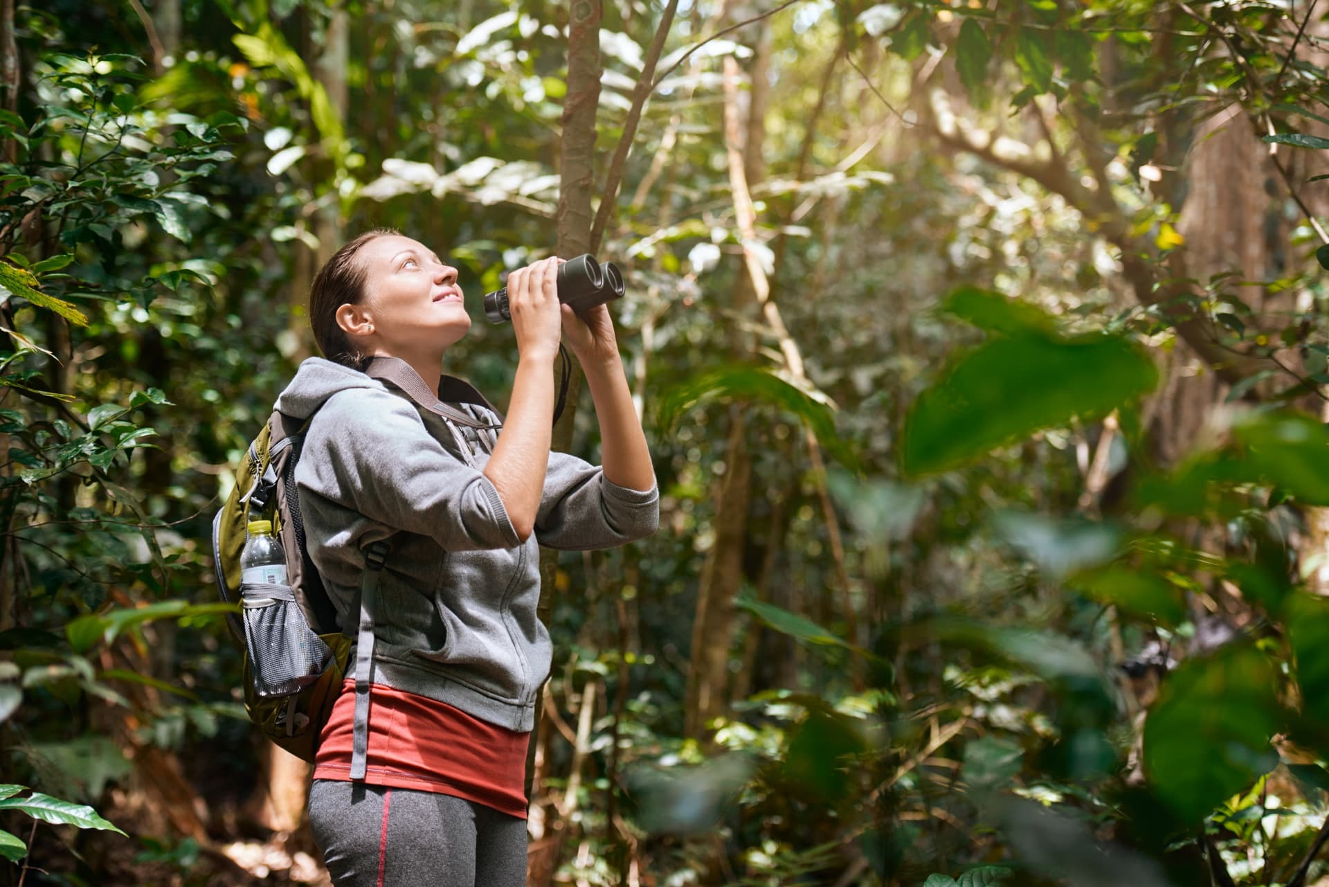 Bird Watching : où observer les oiseaux en Colombie ?
