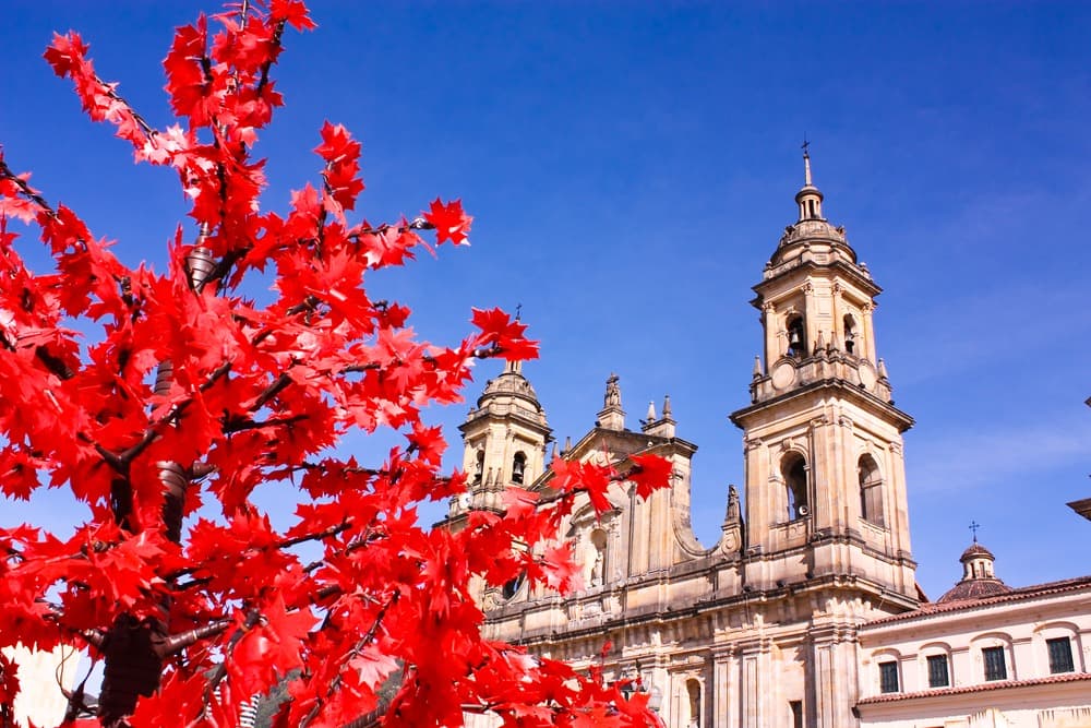 La Candelaria